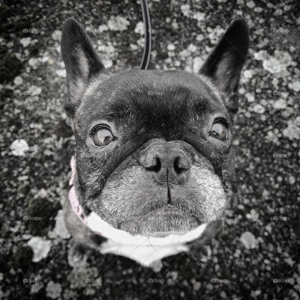 Hungry face Sivan waiting for candy