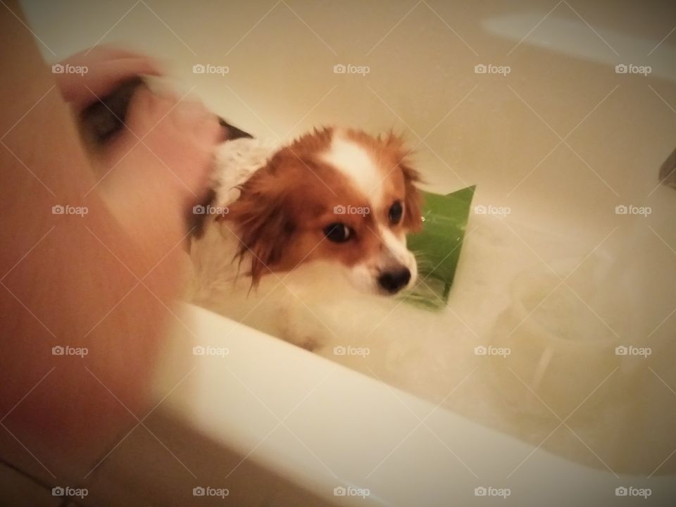 Bath Time