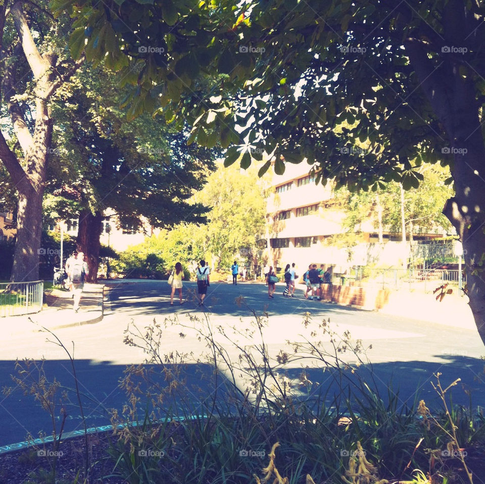 Shot in the morning at the University of Melbourne on a bright sunny