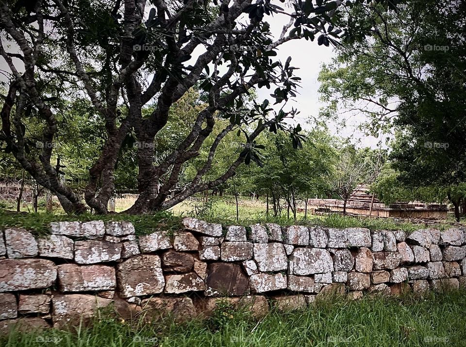 Stone wall for nature