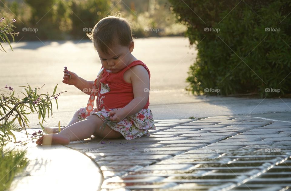 Toddler Girl Outdoors During Golden Hour