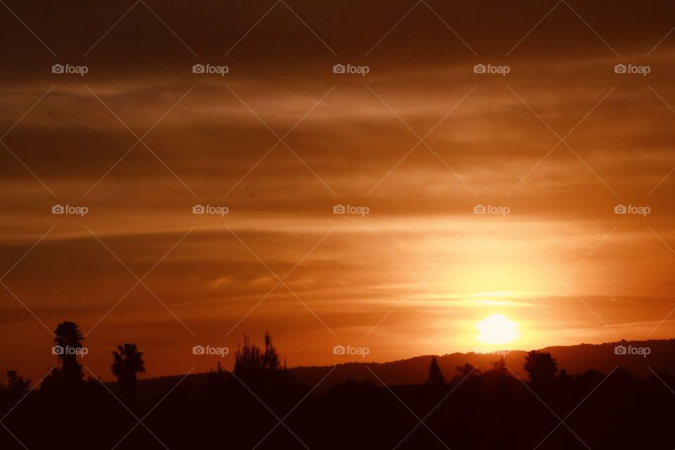 My favorite moments.