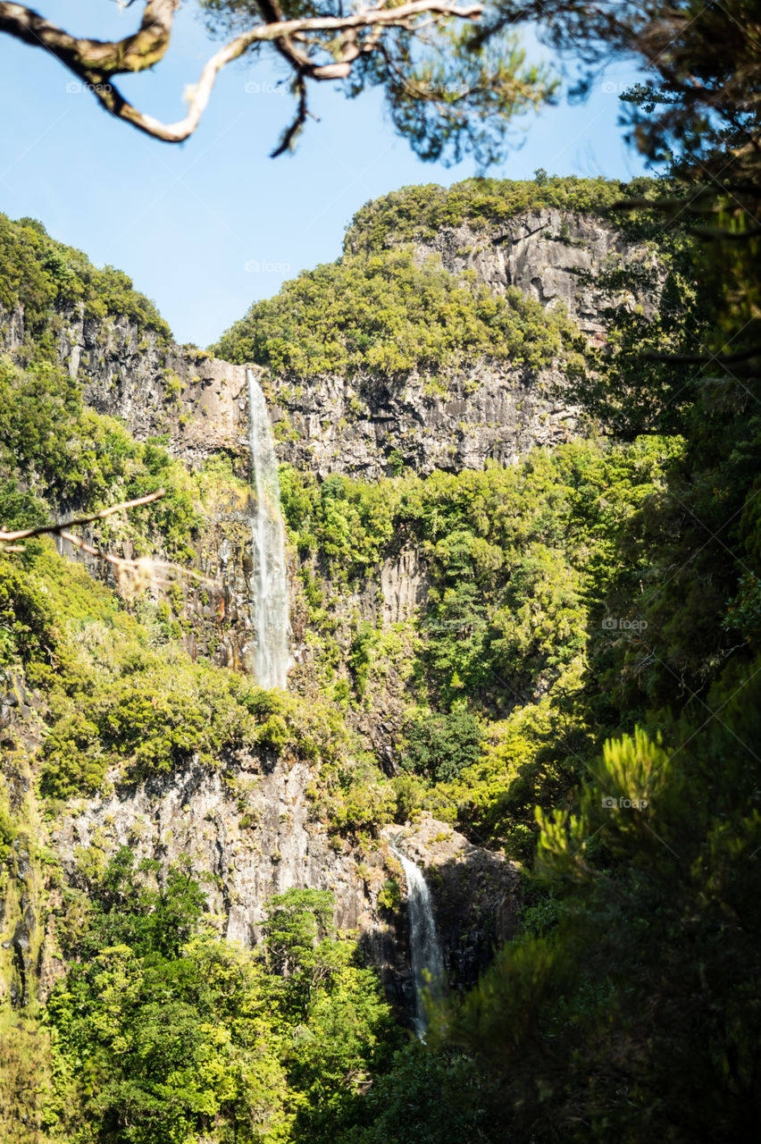 Giant waterfall in the forest 