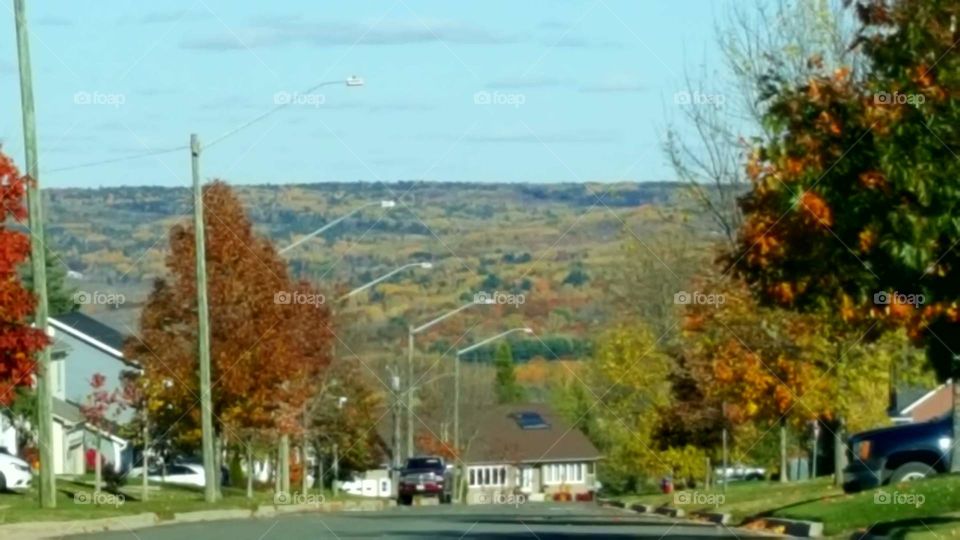 commuting viewpoints