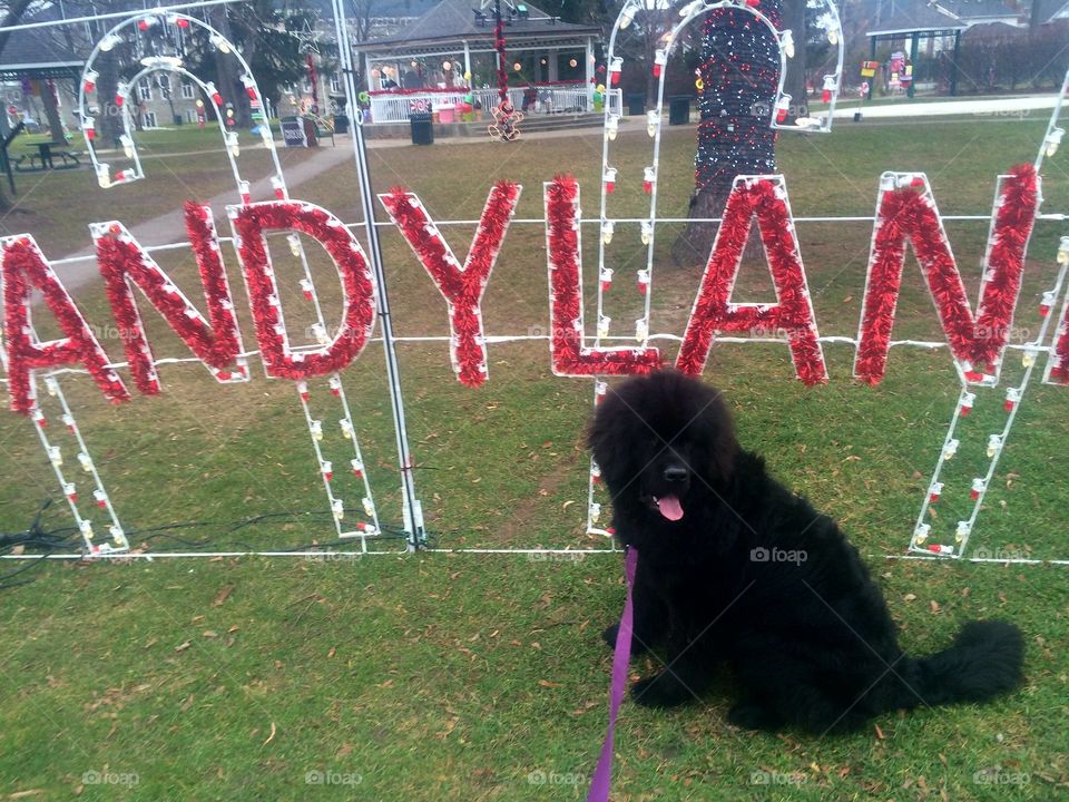 People, Competition, No Person, Grass, Mammal