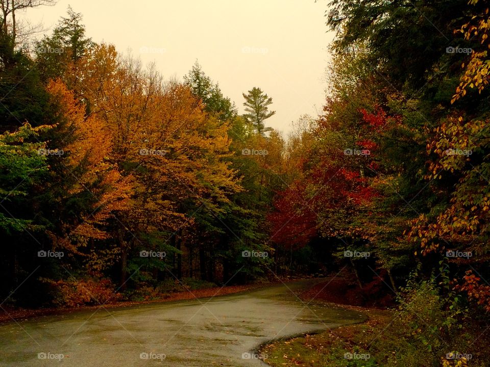 Grafton Notch State Park
