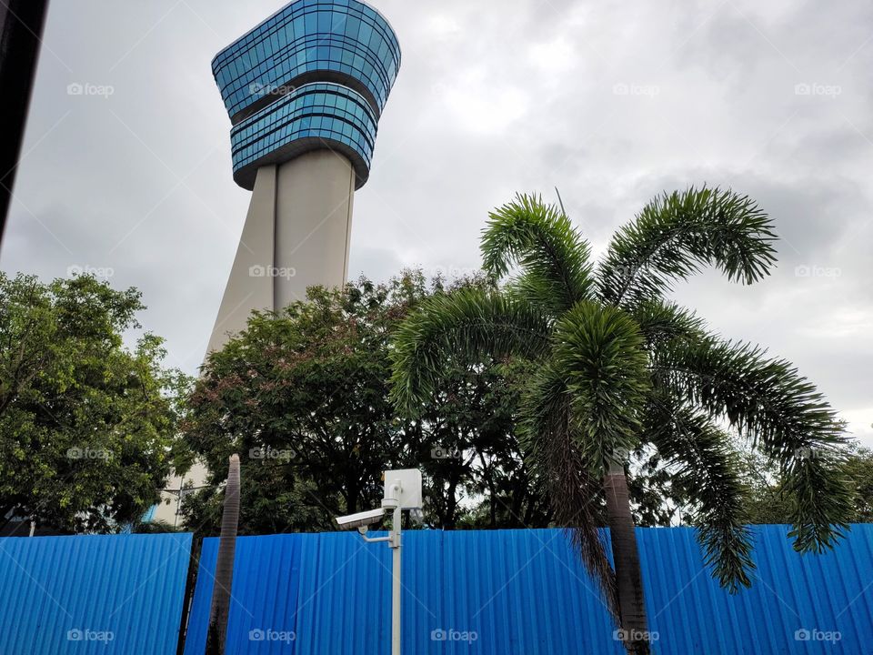 Zenith 
Height 
Blue Tower
flora🌴🌴