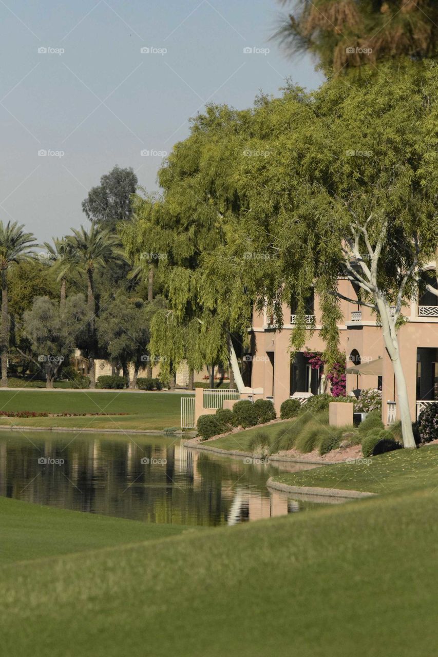 Arizona Neighborhood Living