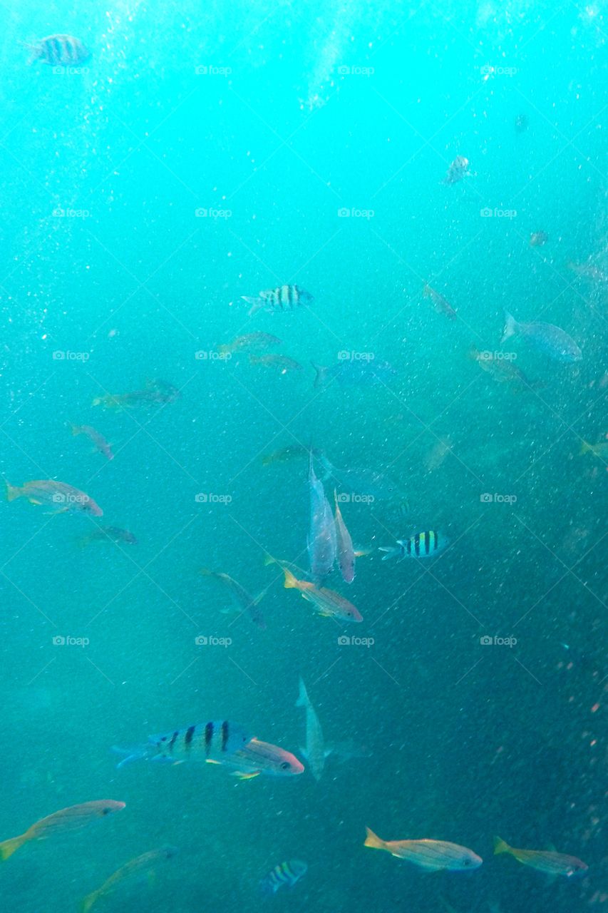 Snorkeling in kauai! 