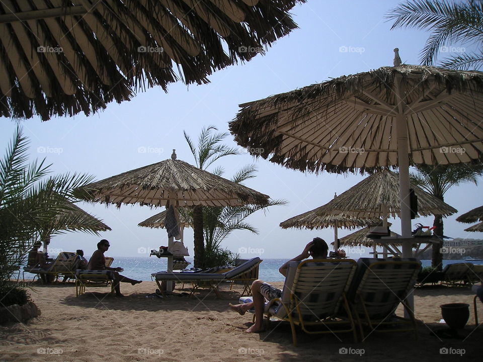 summer in egypt