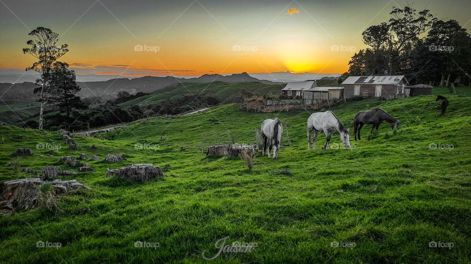 Sunset New Zealand