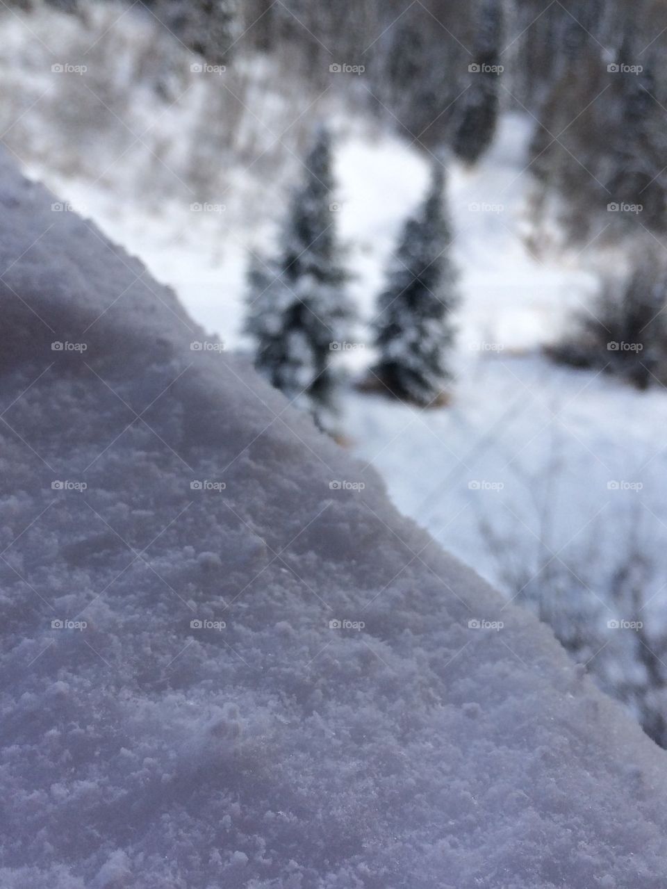 Up-close snow