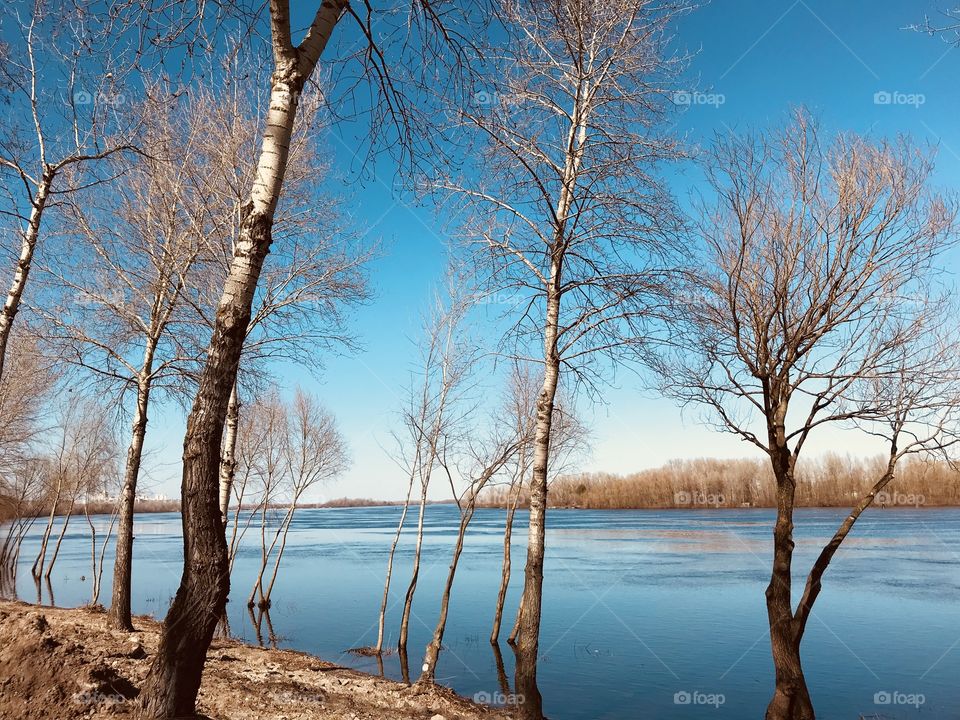 First sunny spring days 