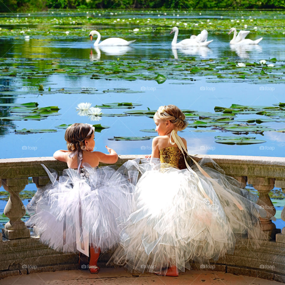 Swan Lake
