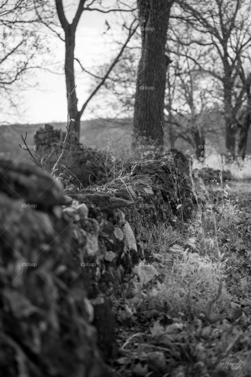 Old Stone Wall