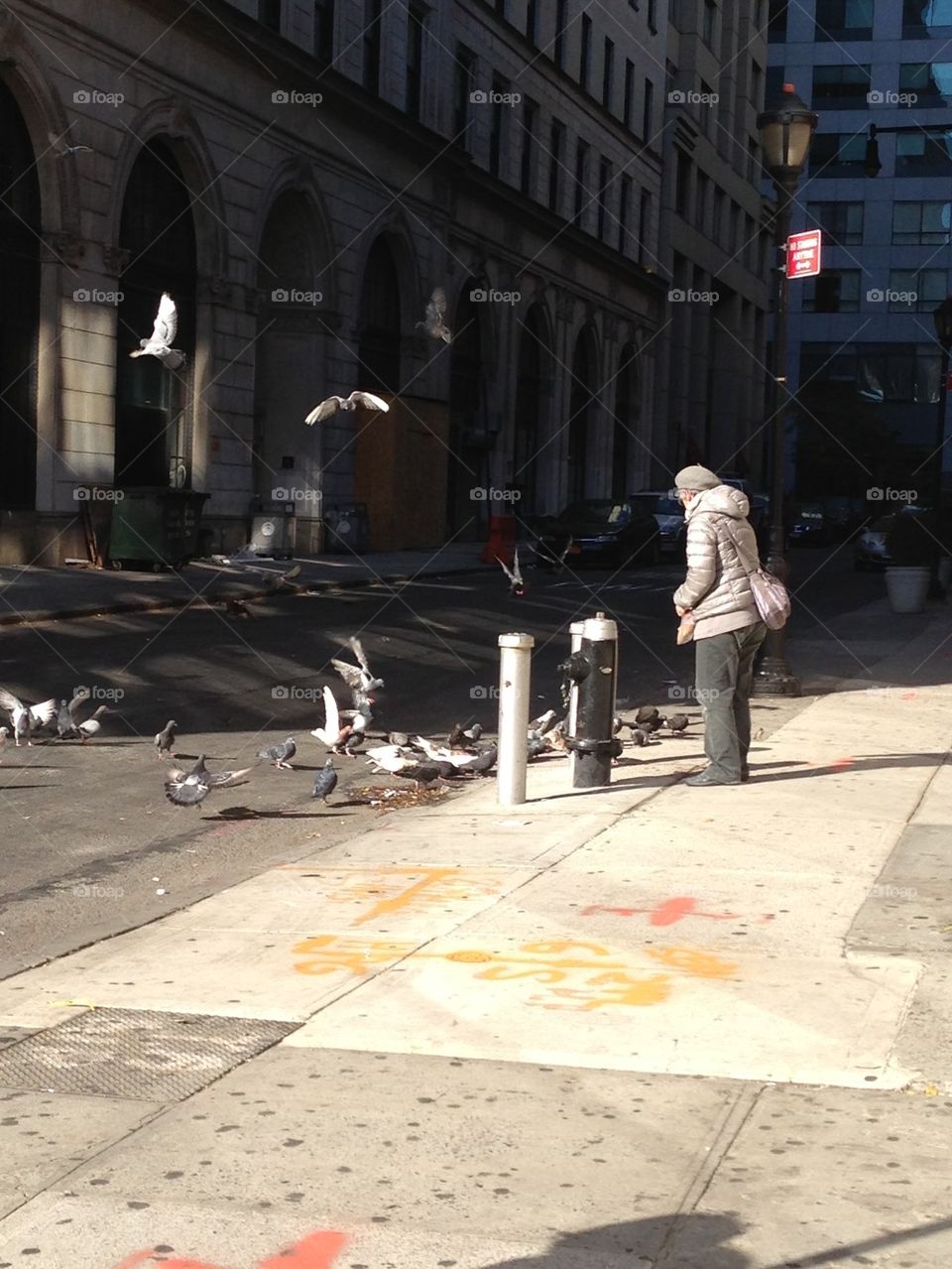 Pigeon feeding