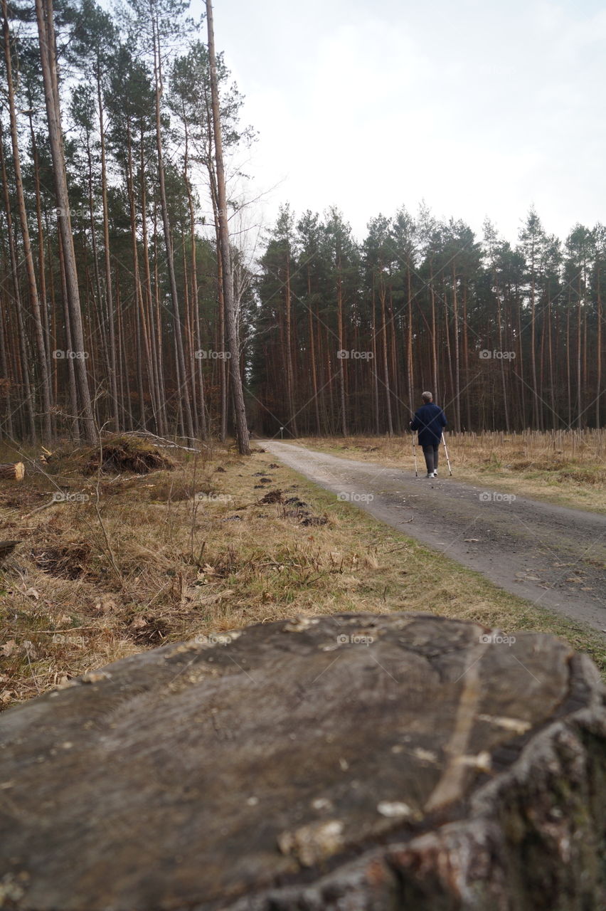 Old woman in forest trip
