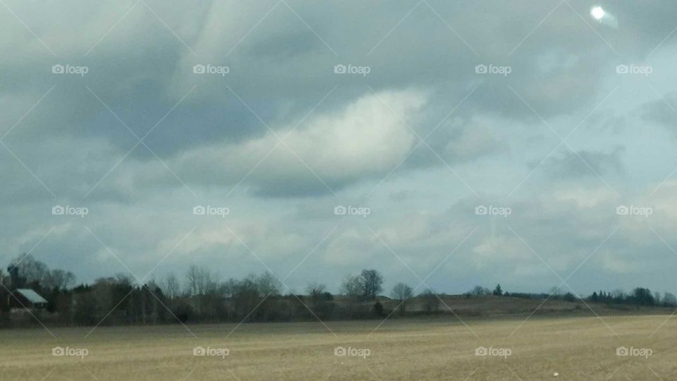 Landscape, Tree, Agriculture, Nature, Field