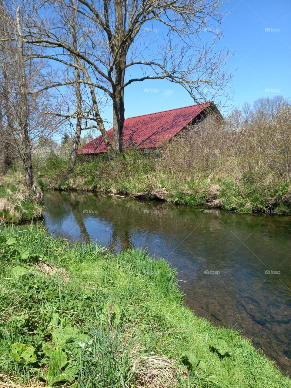 Shack with a Red Roof