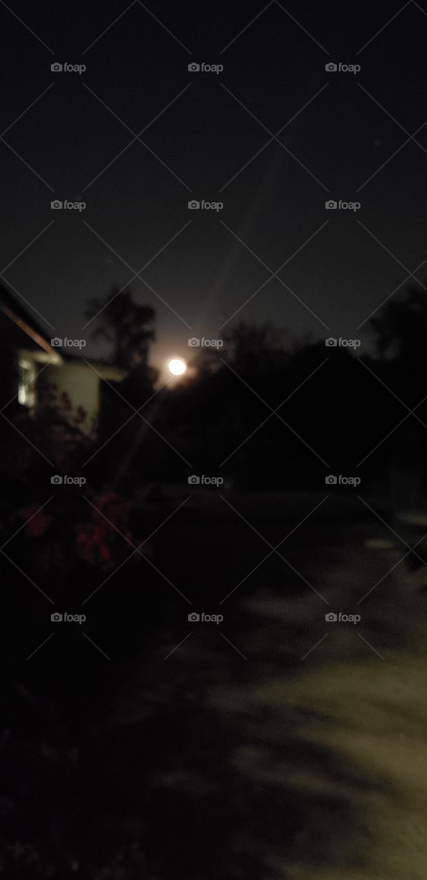 not quite a full moon