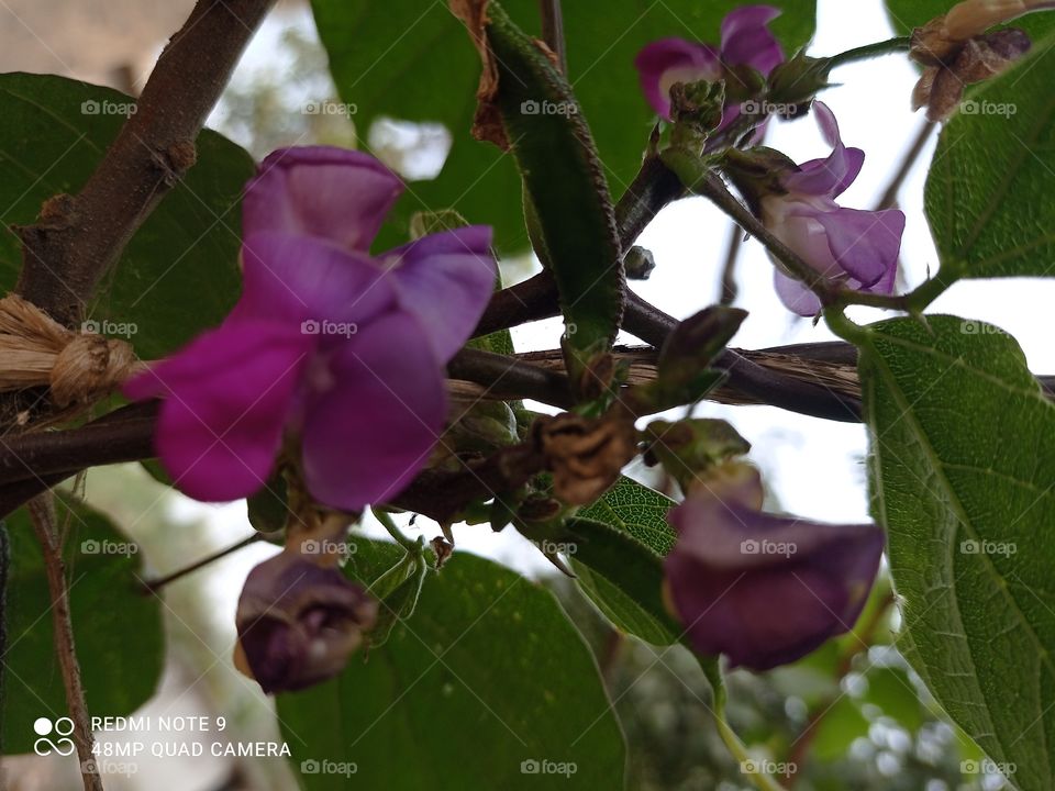 How much do you like this photo