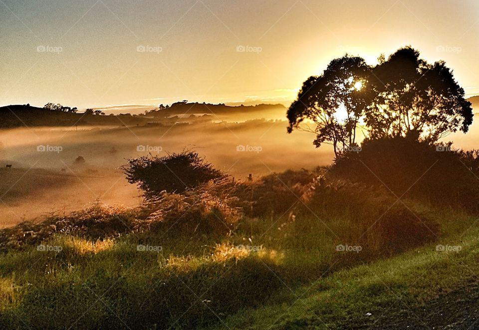 Sunrise over foggy valley