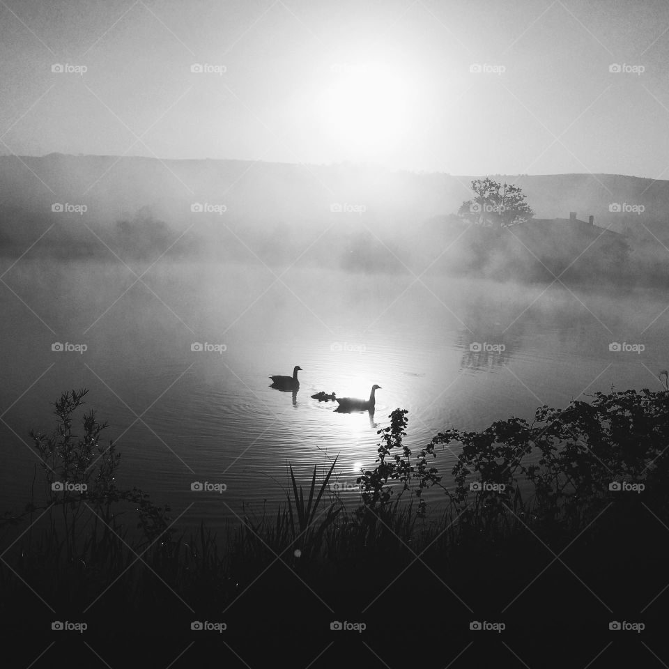 Black and white foggy lake 