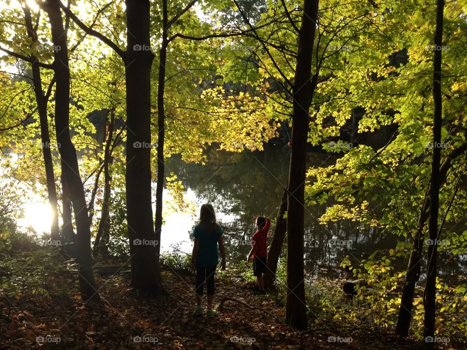 Admire fall