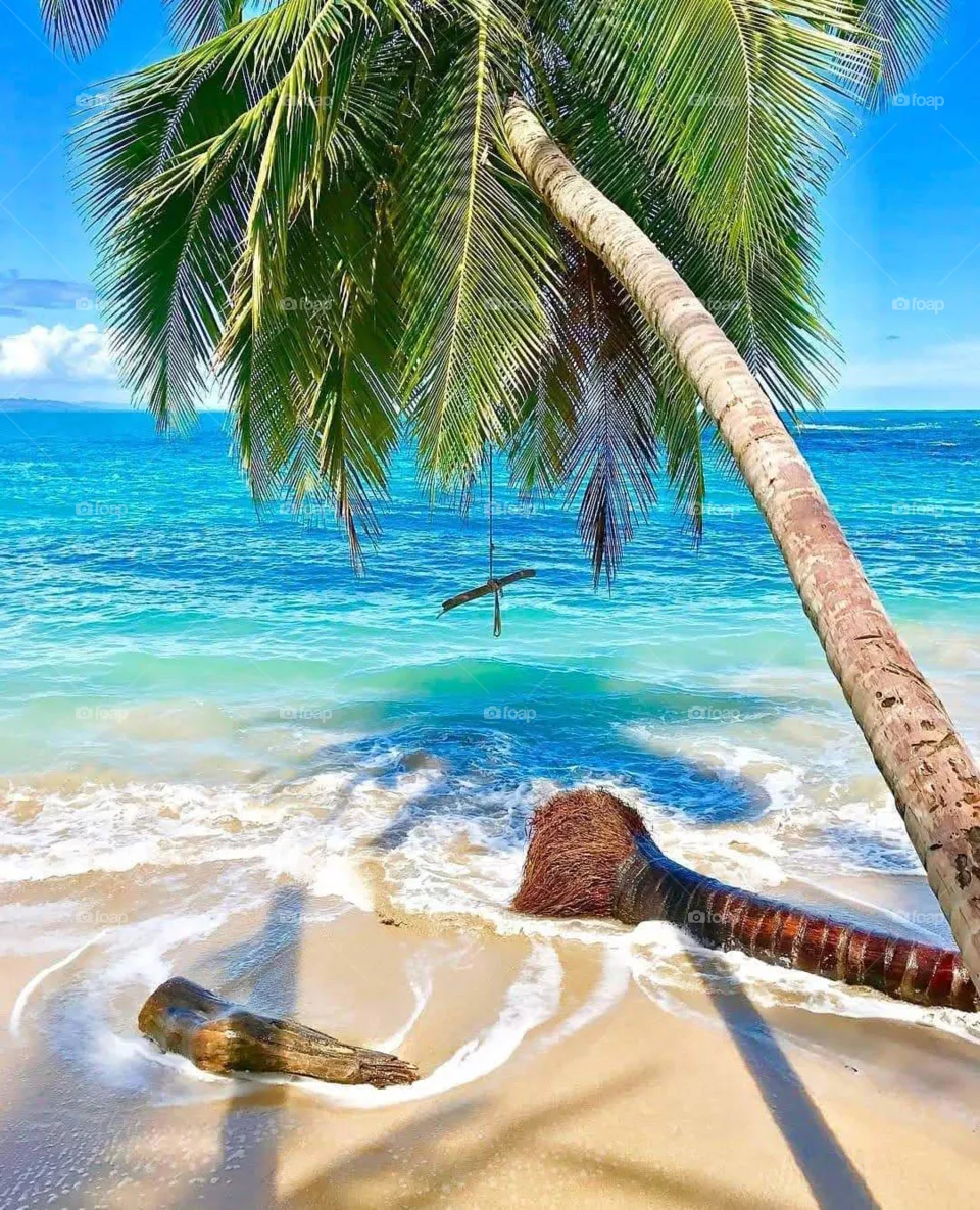 Made in Costa Rica
