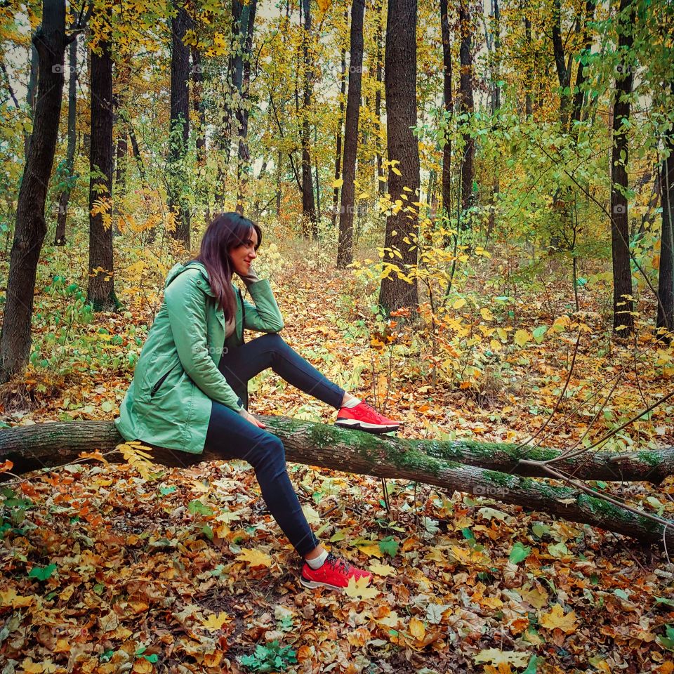 Walk in the autumn forest