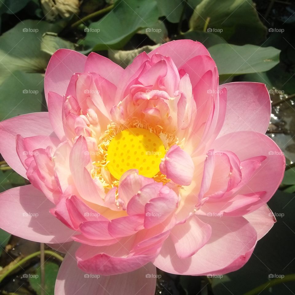 i Capture this photo from dust area