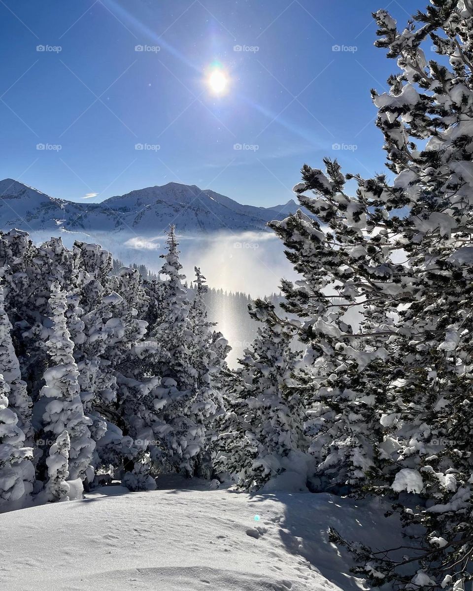 A frosty hike in the high mountains of the Wasatch, Utah to ski fresh lines of powder 