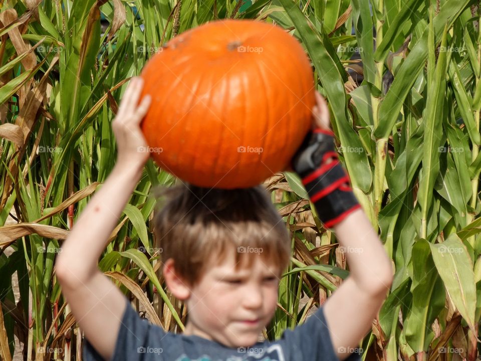 Young Boy At The Pumpkin Patch
