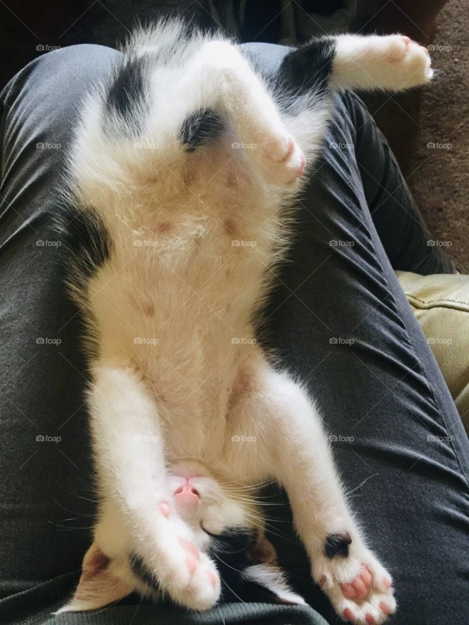 Sleepy bye’s little one 💕