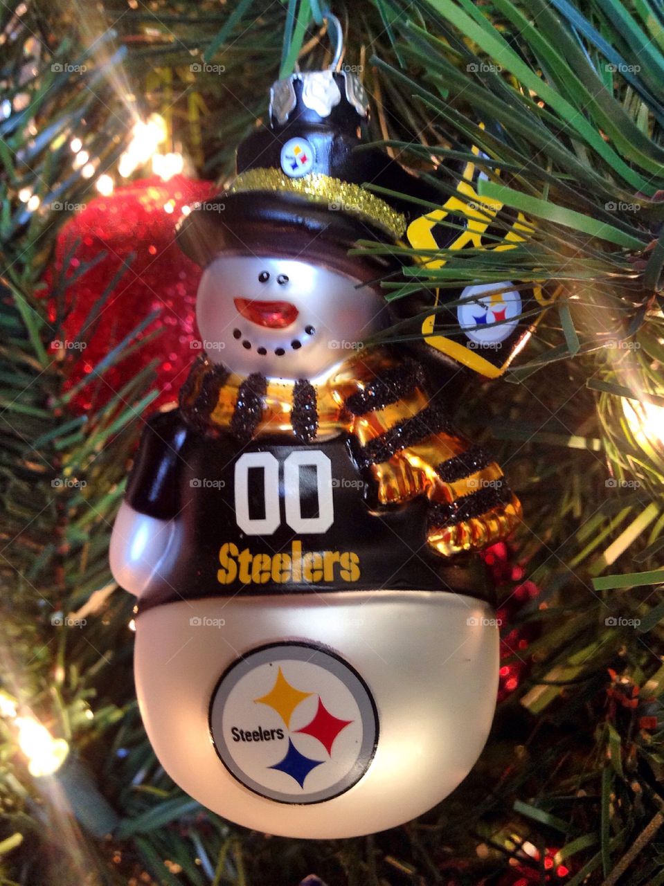 Here We Go Steelers! Merry Christmas! 