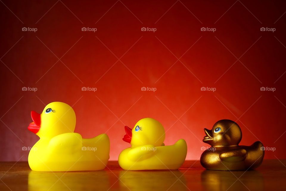 rubber duckies and one golden rubber duckling