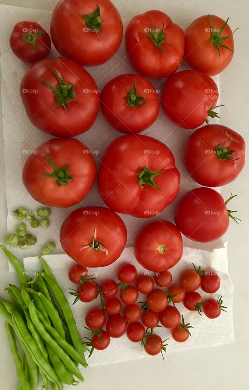 Tomatoes, beans and nasturtium seeds, all from the garden