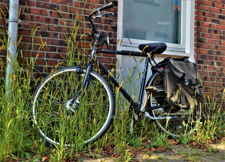 black bicycle overgrown by grass parked against a brick wall with window