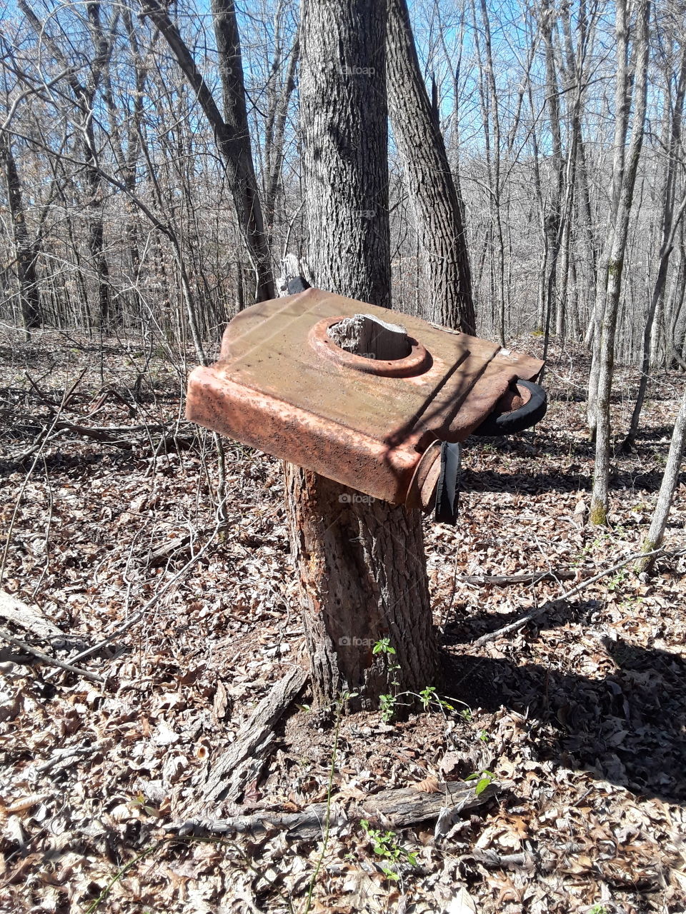 Rusty old lawnmower on top of a stump located miles into a forest