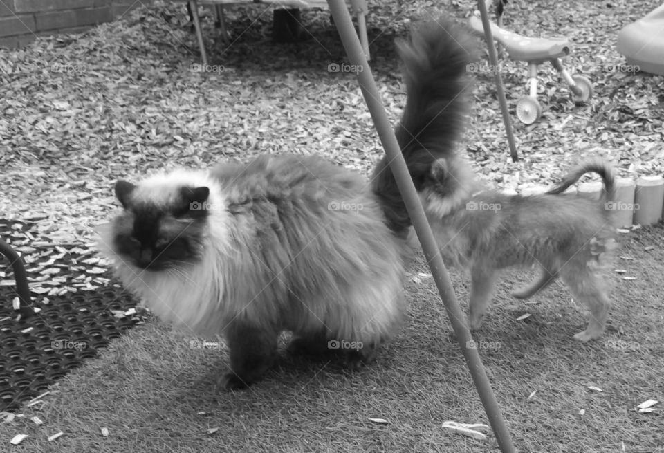 Don't stand to close to me.