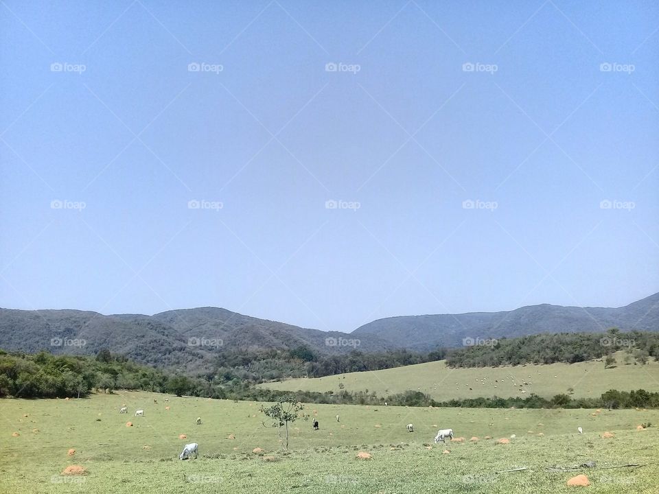 #Natureza incrível: a Serra do Japi, com todo o seu explendor.
Que combinação perfeita entre o #azul do #céu e o #verde do #mato!
📸
#fotografia #paisagem #mobgraphia #landscapes #nature