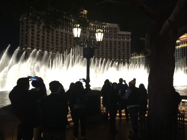 Vegas lights