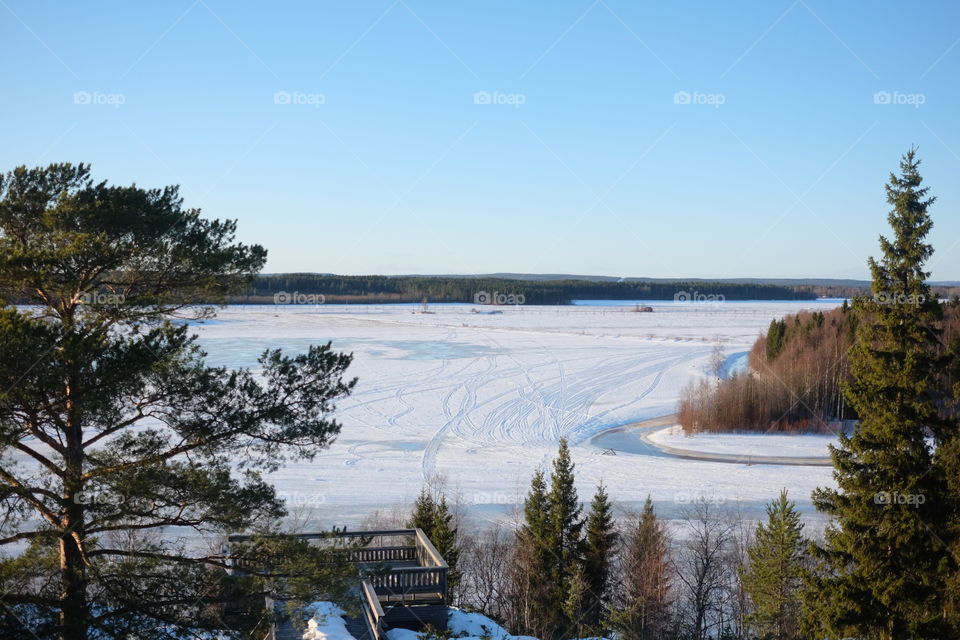 Tree, Landscape, Snow, Winter, No Person