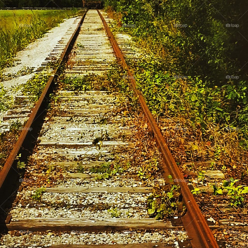Abandoned Train Rails 