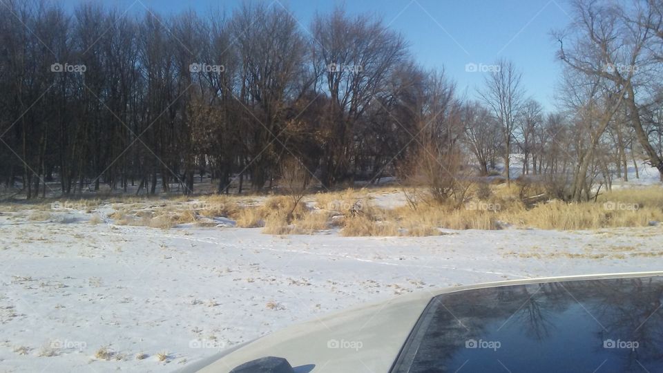 Winter, Snow, Landscape, Tree, Weather