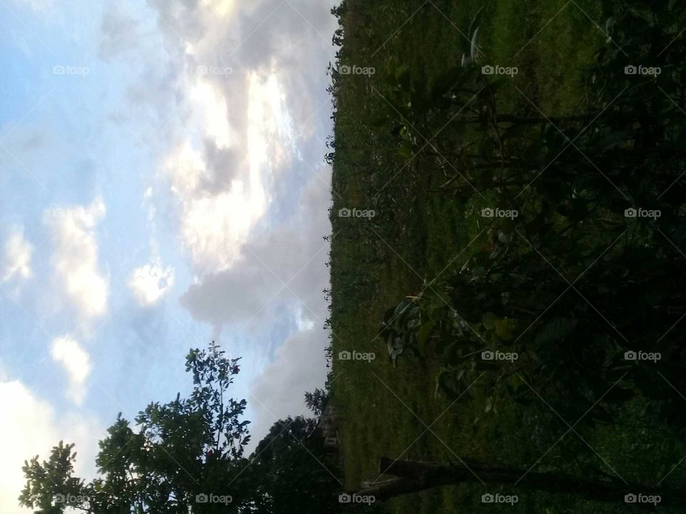 we Love try to look up in the sky and wonder how a marble us it is an how breath taking it is