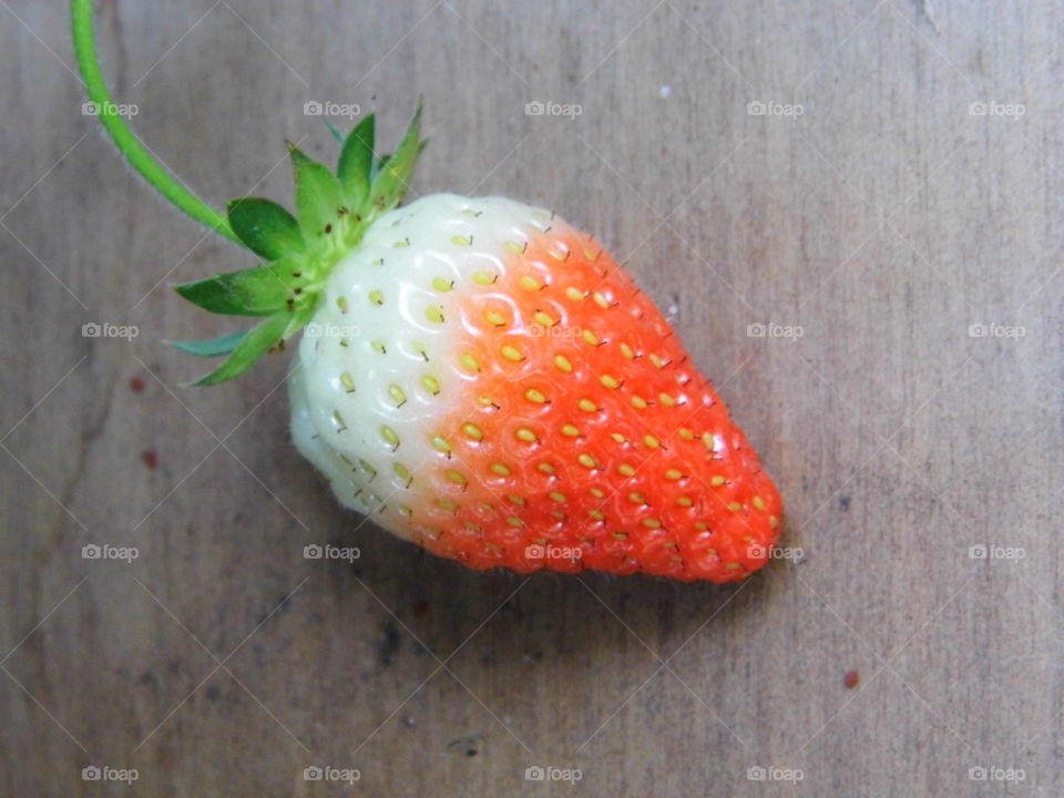 strawberry in the garden