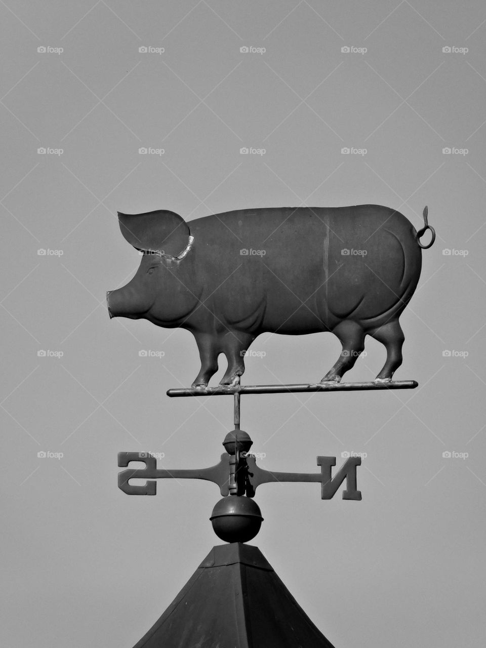 Vintage Vibes: Pig Metal Weathervane. Weathervanes indicate wind direction and often feature. This sat on the highest point of the building.