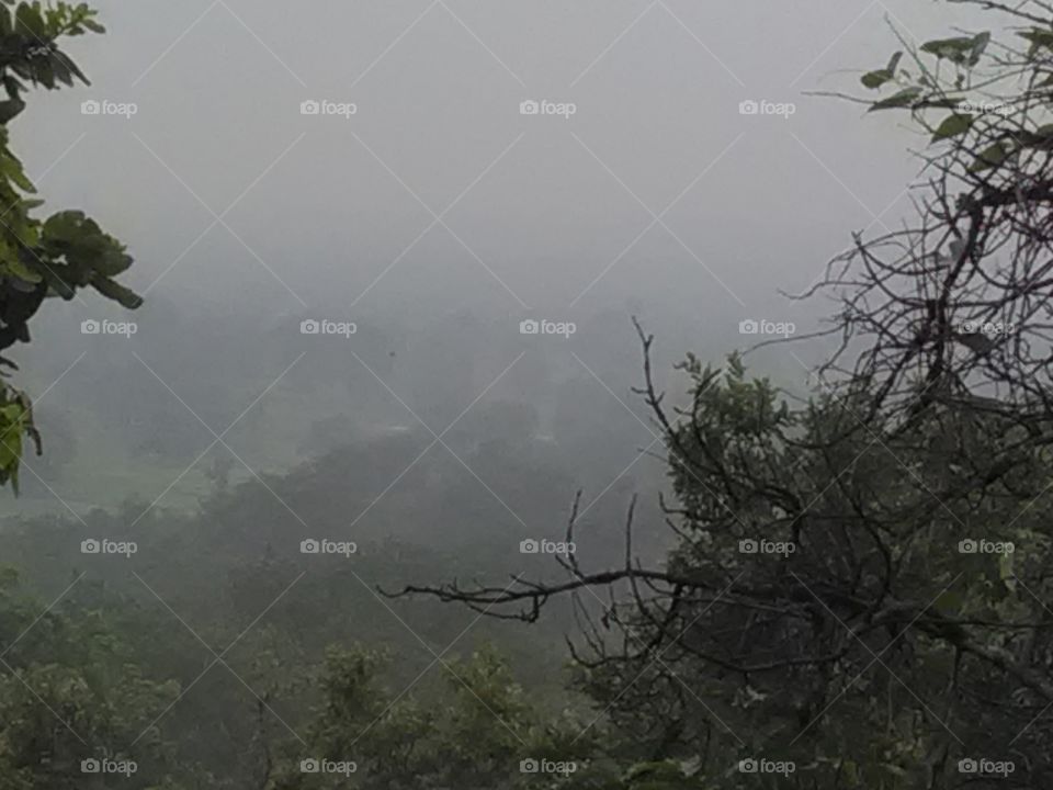 Clow dynamic hill and forest.