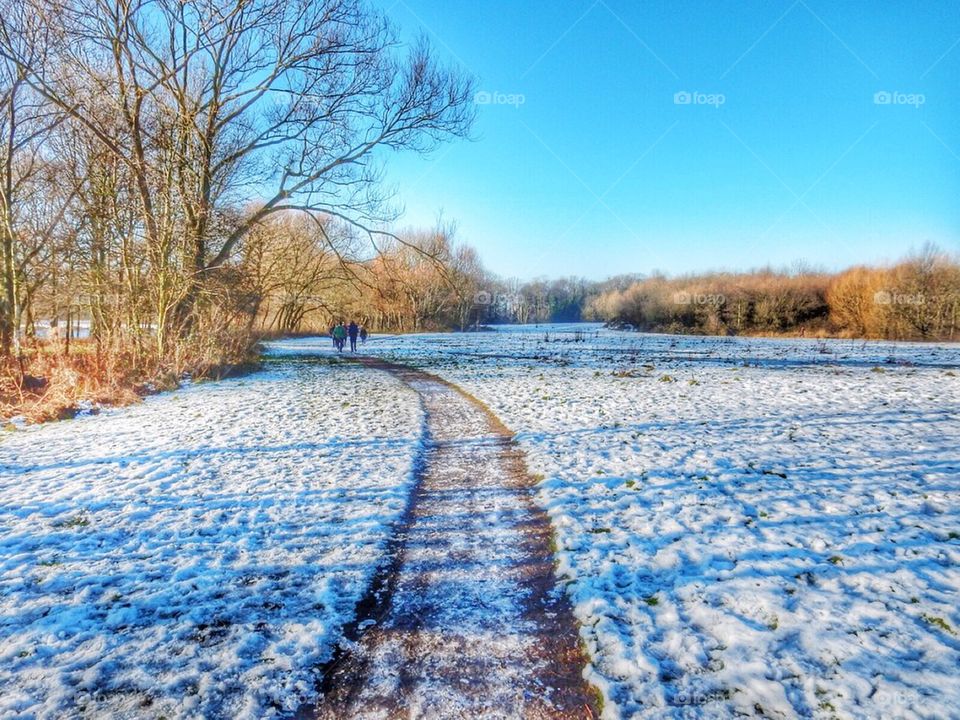 Winters walkway 